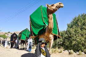  مراسم نخل گردانی و سنگ زنی عاشورای حسینی در روستای درخش بیرجند