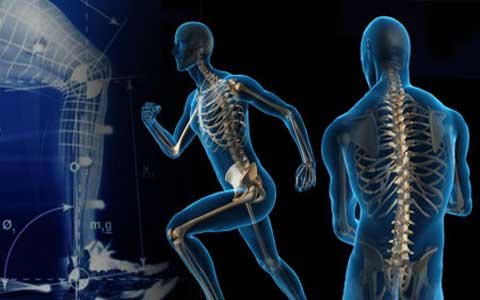 عکس دریافتی است محصولات فناور ورزشی در ۸ حوزه تجاریسازی میشود