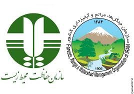 تشکیل وزارت «محیط زیست» قدرت نظارتی محیط زیستی را کاهش می‌دهد 