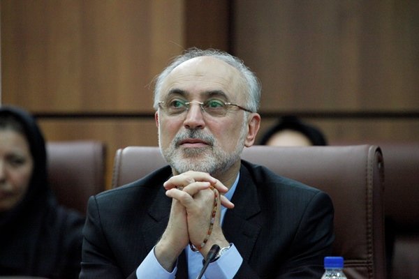 صالحی: نامههایی را برای خرید آب سنگین دریافت کردهایم صالحی: نامههایی را برای خرید آب سنگین دریافت کردهایم