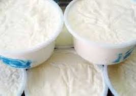 ماست ایران در آمریکا! ماست ایران در آمریکا!