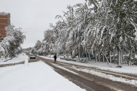 بارش برف سنگین در اردبیل