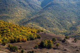 طبیعت پاییزی جنگل های ارسباران