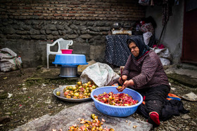 پخت ترشی انار در روستای بالاجاده - گرگان