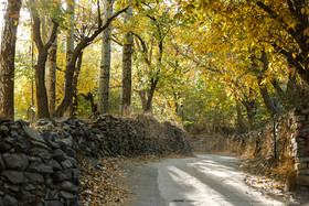 طبیعت پاییزی همدان