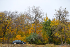 طبیعت پاییزی همدان