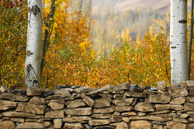 طبیعت پاییزی همدان