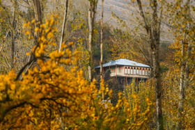 طبیعت پاییزی همدان