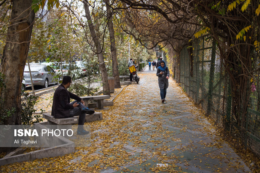 تهران پاییز باران