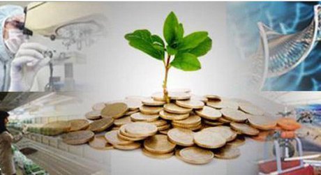 صندوق نوآوری و شکوفایی دانشگاه علوم پزشکی اهواز در آستانه تأسیس صندوق نوآوری و شکوفایی دانشگاه علوم پزشکی اهواز در آستانه تأسیس