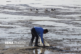 پاکسازی ساحل بندرعباس
