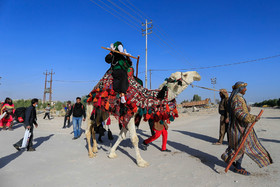 پیاده روی عزاداران امام حسین (ع) در مسیر نجف به کربلا