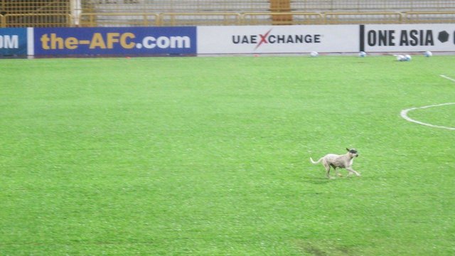 بارش باران بازی ایران - سوریه را به ساعت ۱۶ موکول کرد بارش باران بازی ایران - سوریه را به ساعت ۱۶ موکول کرد