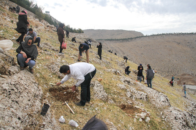 عکس تزئینی است. بذرکاری در زاگرس طرحی «نمایشی» است