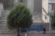وزش باد نسبتا شدید در تهران
