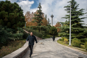 هوای تهران سالم است/ کاهش دمای هوا در پایتخت