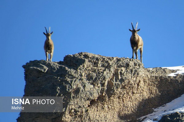 آنها را به حال خود بگذارید آنها را به حال خود بگذارید