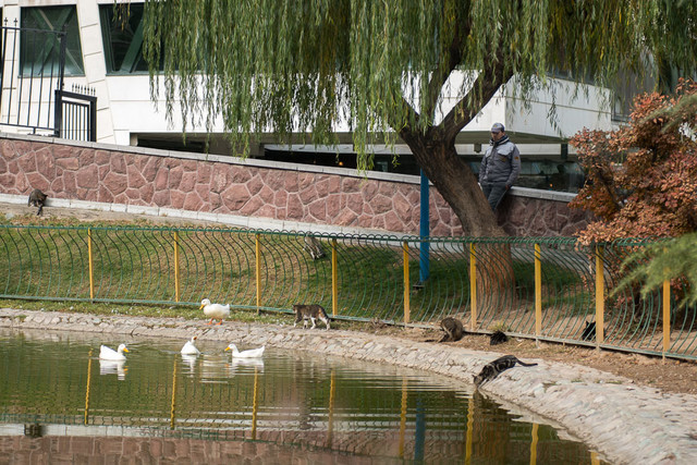 افزایش تدریجی دمای هوا در کشور/بارش پراکنده در برخی نقاط افزایش تدریجی دمای هوا در کشور/بارش پراکنده در برخی نقاط