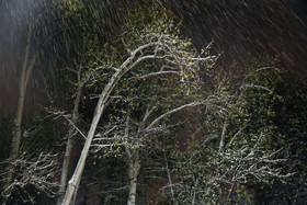 بارش برف در شمال تهران