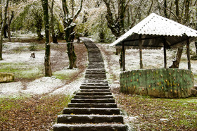  بارش برف پاییزی در ساری