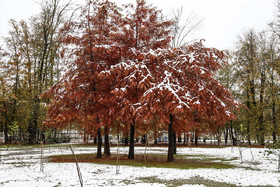  بارش برف پاییزی در ساری