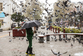  بارش برف پاییزی در ساری