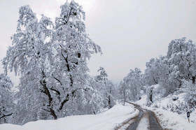 بارش برف پاییزی در ارتفاعات ماسال