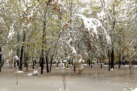 دومین روز برفی رشت 