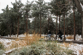 روز برفی پاییزی‎ در کرمان