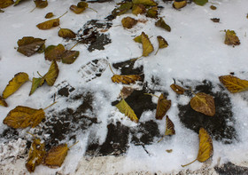 روز برفی پاییزی‎ در کرمان
