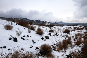 طبیعت پاییزی برفی کرمان