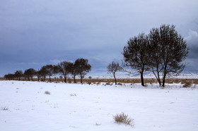 طبیعت پاییزی برفی کرمان