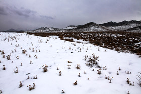 طبیعت پاییزی برفی کرمان