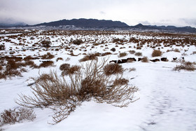 طبیعت پاییزی برفی کرمان