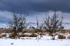 طبیعت پاییزی برفی کرمان