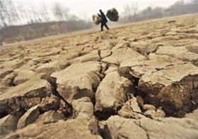 82 درصد مساحت کشور دچار خشکسالی است 