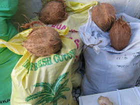 توقیف نارگیل‌های قاچاق در رشت
