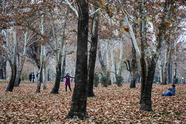 یکی دیگر از باغ های قدیمی شمال تهران بوستان عمومی شد