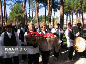 برگزاری دهمین جشنواره انار ساوه پس از چهار سال وقفه