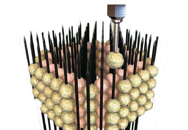 ساخت مغز مصنوعی با الهام از چیدمان گل ژاپنی ساخت مغز مصنوعی با الهام از چیدمان گل ژاپنی