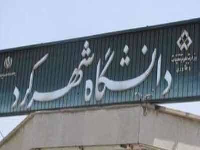 افزایش سه‌برابری سرانه مقالات تولیدشده در دانشگاه شهرکرد