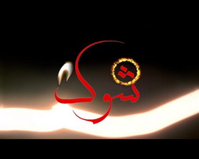 سوء استفاده از کارت های بازرگانی، سوژه جدید«شوک»