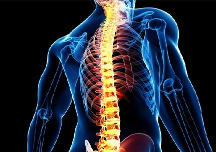 وقتی ستون فقرات با مشکل مواجه میشود ستون فقرات