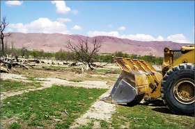 تخریب باغات در تمام مناطق یزد/قوانین شهرسازی به سمت صیانت از باغ‌ها سوق یابد