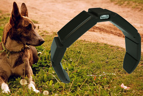 ساخت یک قلاده هوشمند برای حیوانات خانگی