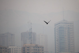 آلودگی هوای تهران ادامه‌ دارد/ هوا برای گروه‌های حساس ناسالم