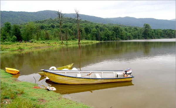 آب بندان در مازندران جلوی سیل را میگیرد یا سد؟ آب بندان در مازندران جلوی سیل را میگیرد یا سد؟