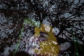 تشییع پیکر پوران فرخزاد