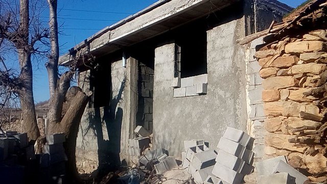 عکس تزئینی است. نَم نداری بر سقف خانه «کارولین»