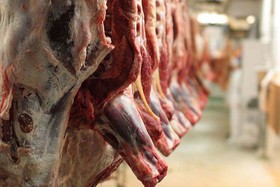 قیمت گوشت گوسفندی,قیمت گوشت